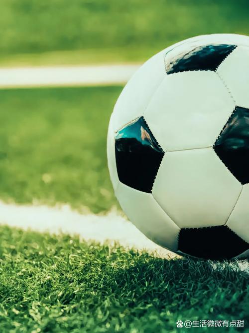 足球爱好者使用捷报足球即时比分直播观看比赛